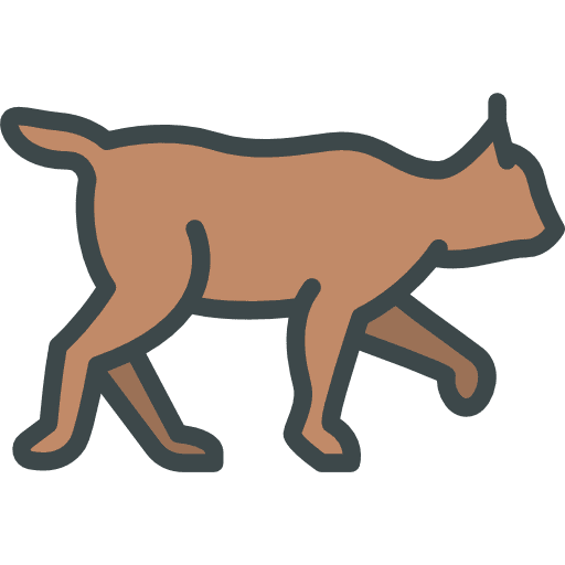 Lynx animals zoo animal kingdom icon Lynx animals zoo animal kingdom icon