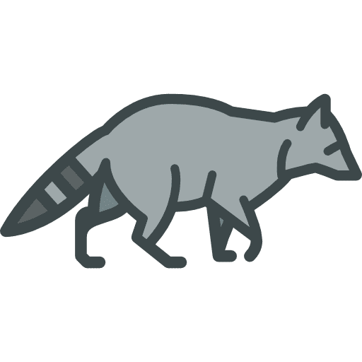 Racoon animals racoon zoo icon Racoon animals racoon zoo icon
