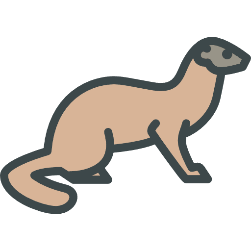 Weasel animal kingdom weasel animals icon Weasel animal kingdom weasel animals icon