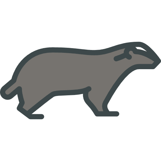 Badger wild life zoo animal kingdom icon Badger wild life zoo animal kingdom icon