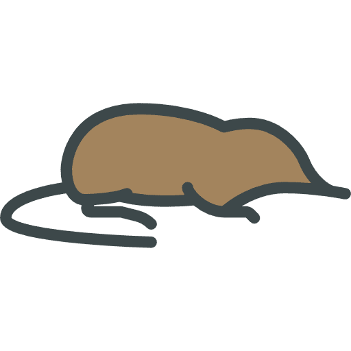 Desman animals zoo wild life icon Desman animals zoo wild life icon