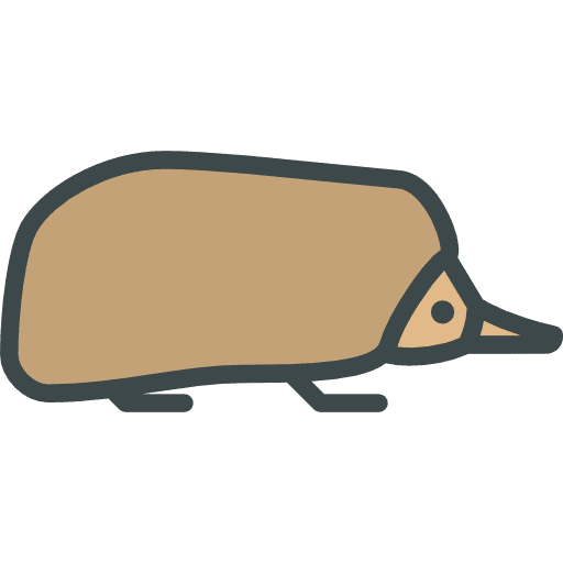 Echidna zoo echidna animal kingdom icon Echidna zoo echidna animal kingdom icon