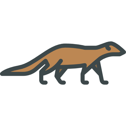 Mongoose mongoose wild life animals icon Mongoose mongoose wild life animals icon