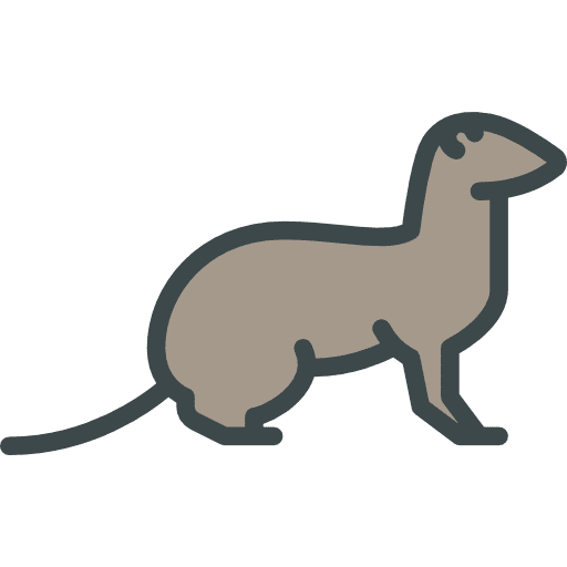 Polecat wild life zoo polecat icon Polecat wild life zoo polecat icon