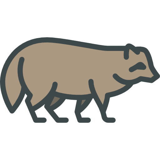 Racoon racoon wild life zoo icon Racoon racoon wild life zoo icon