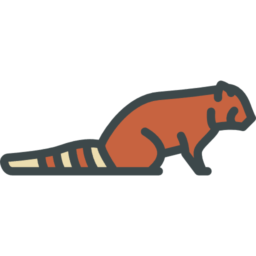 Red panda animal kingdom animals red panda icon Red panda animal kingdom animals red panda icon