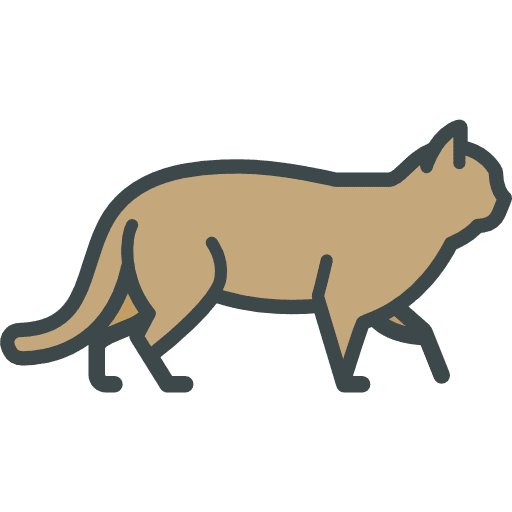 Wild cat wild cat zoo wild life icon Wild cat wild cat zoo wild life icon