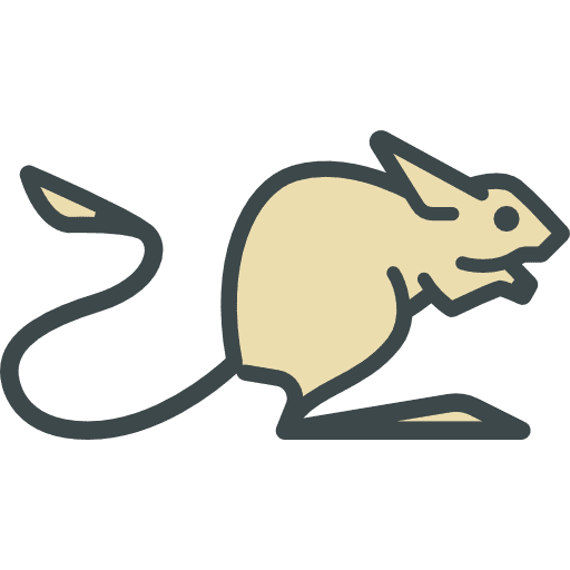 Jerboa animal kingdom animals zoo icon Jerboa animal kingdom animals zoo icon