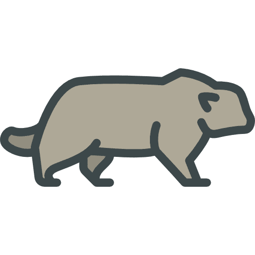 Pallas cat animals zoo wild life icon Pallas cat animals zoo wild life icon