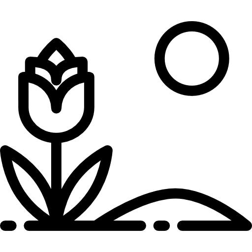 Flower nature petals botanical icon