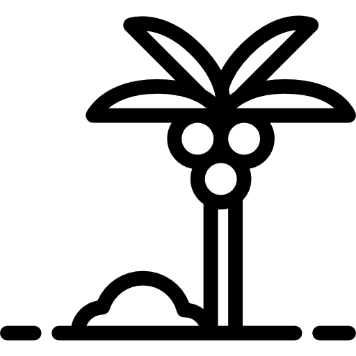 Palm tree botanical summertime summer icon