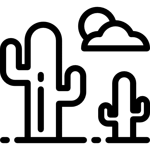 Desert sun landscape cactus icon