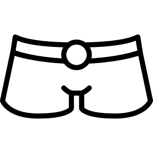 Shorts shorts clothing femenine icon