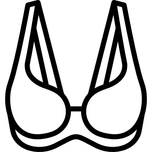 Brassiere clothes underwear clothing icon