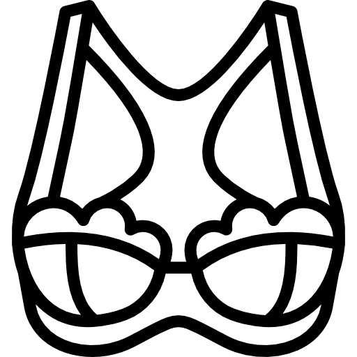 Brassiere underwear brassiere clothes icon