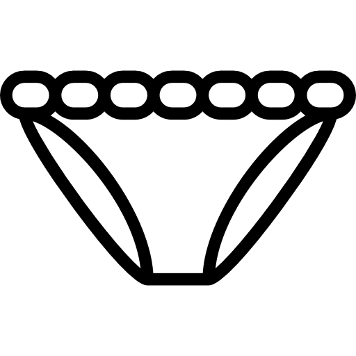 Panties underwear panties femenine icon