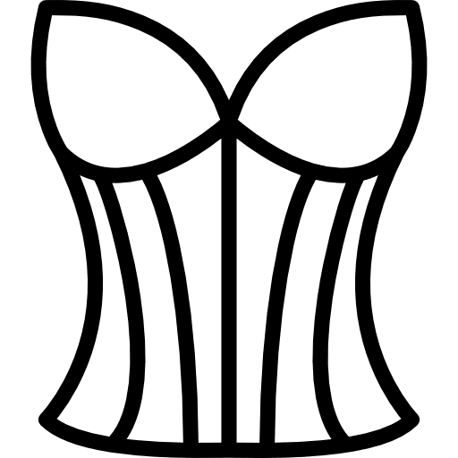 Corset garment fashion elegant icon