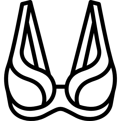 Brassiere clothing fashion clothes icon