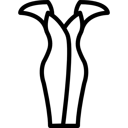 Dress dresses feminine woman icon