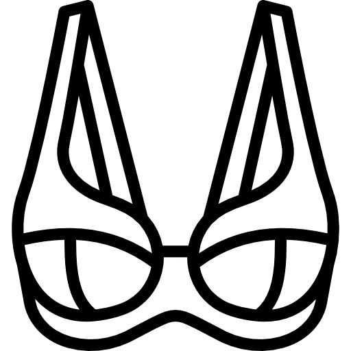 Brassiere brassiere fashion underwear icon