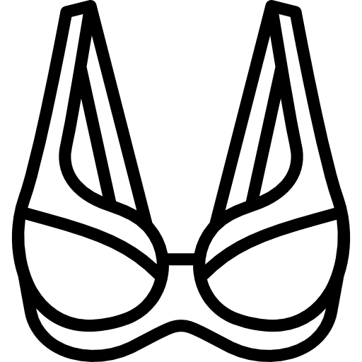 Brassiere clothing underwear bra icon