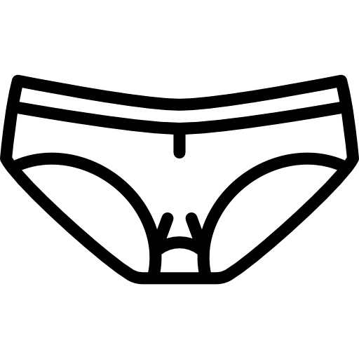 Panties fashion panties knickers icon