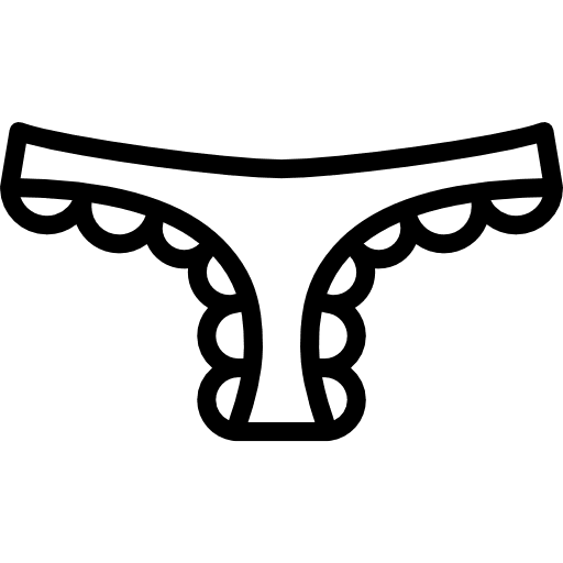 Panties knickers underpants panties icon