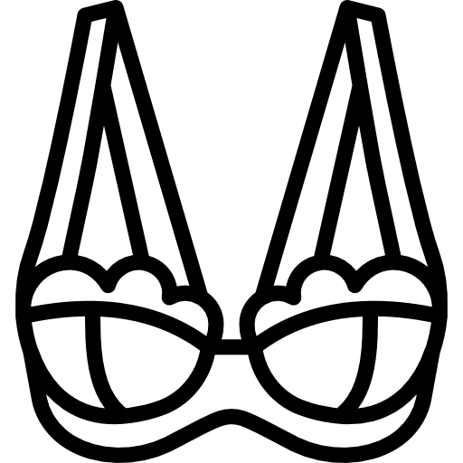 Brassiere fashion clothes underwear icon