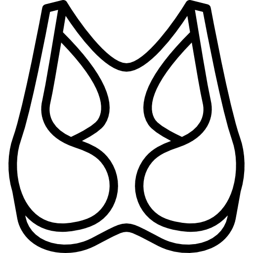 Brassiere underwear femenine clothing icon