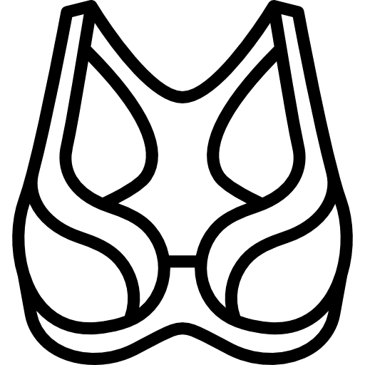 Brassiere underwear femenine fashion icon