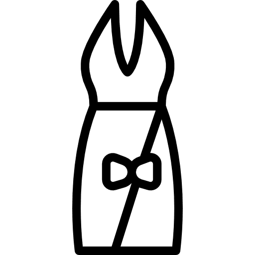 Dress female feminine dresses icon