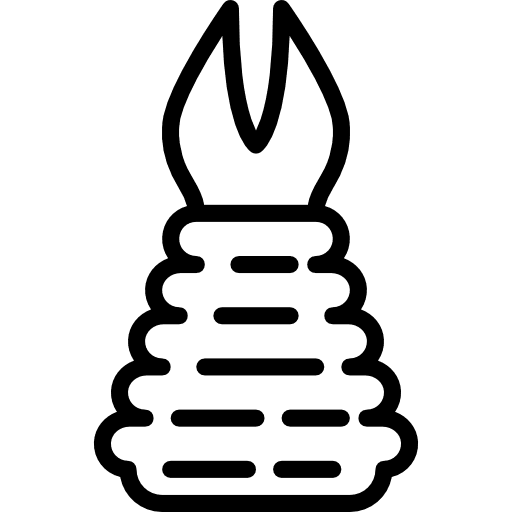 Dress woman dress female icon