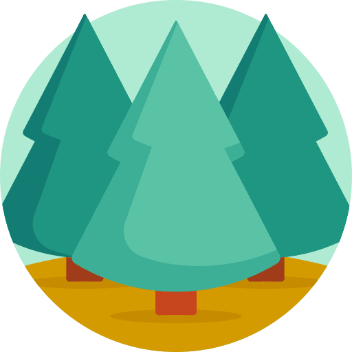 Forest woods landscape path icon