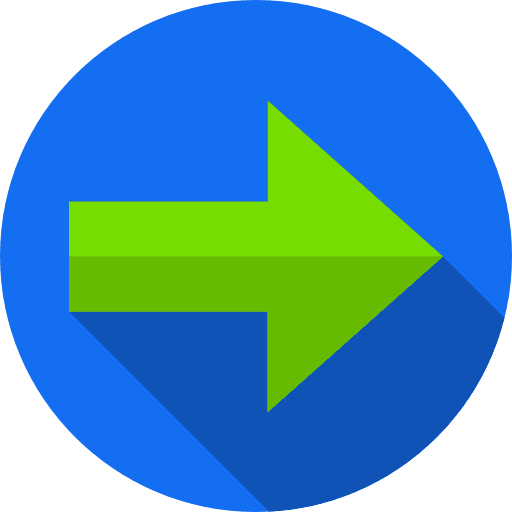 Next skip direction multimedia option icon