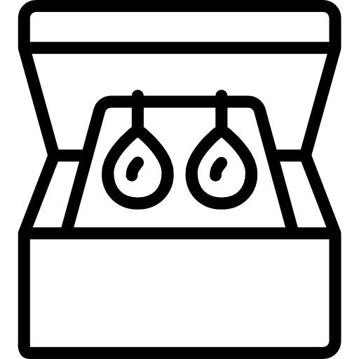 Earrings gem accessory diamond icon