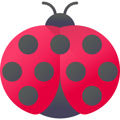Ladybug ladybug insect bug icon