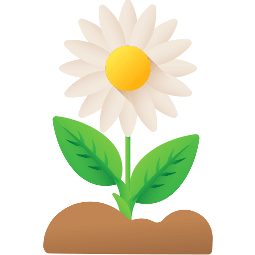 Sunflower botanical nature blossom icon