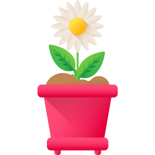 Sunflower sunflower petals botanical icon