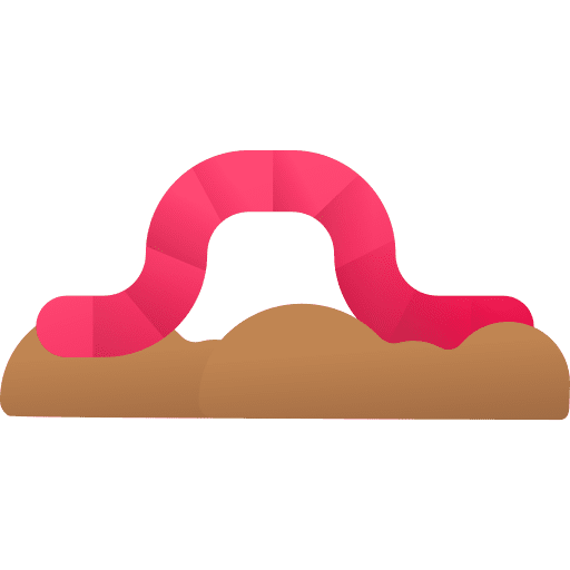 Worm worm insect animals icon