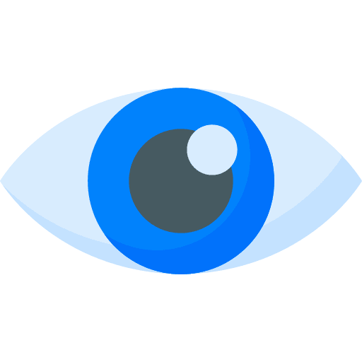 Eye eye watching visualization icon Eye eye watching visualization icon