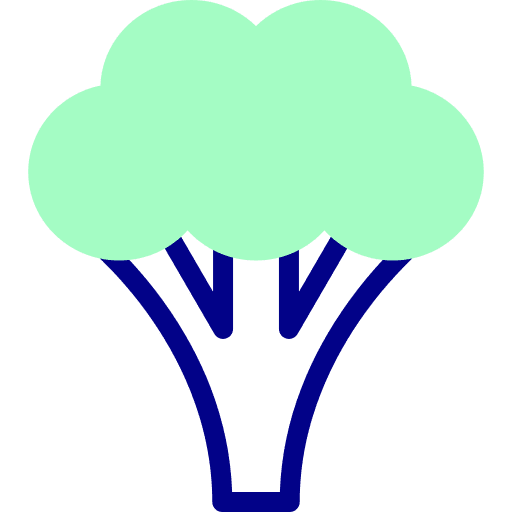 Broccoli healthy food organic vegetable icon Broccoli healthy food organic vegetable icon