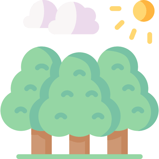 Forest woodland forest landscape icon Forest woodland forest landscape icon