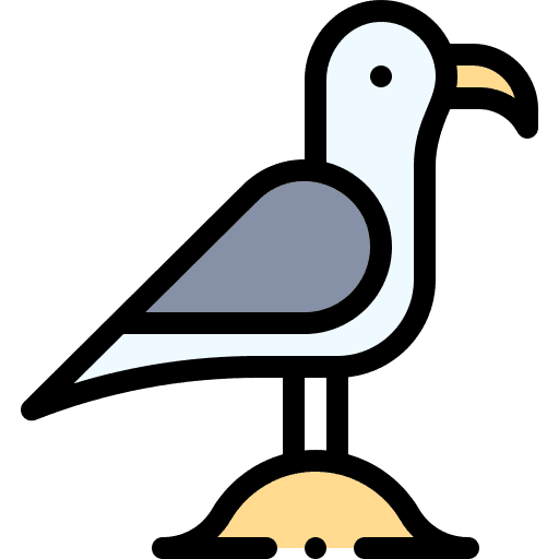 Seagull feather seagull animals icon Seagull feather seagull animals icon