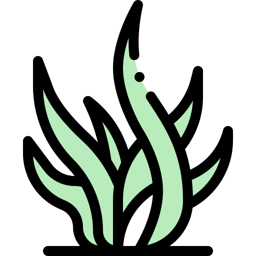 Seaweed sea nature ocean icon Seaweed sea nature ocean icon