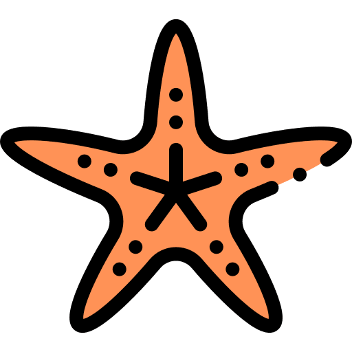 Starfish starfish animals invertebrate icon Starfish starfish animals invertebrate icon