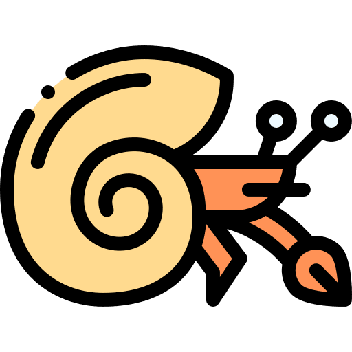 Hermit crab sea life marine wild life icon Hermit crab sea life marine wild life icon