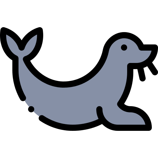 Seal nature animals zoology icon Seal nature animals zoology icon