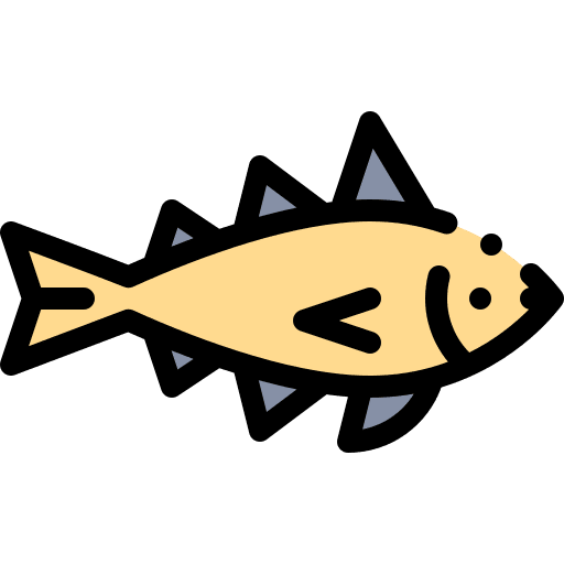 Codfish aquatic fish animals icon Codfish aquatic fish animals icon