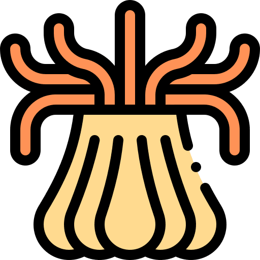 Sea anemone marine wild life sea life icon Sea anemone marine wild life sea life icon