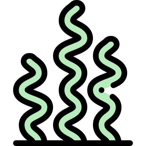 Seaweed seaweed aquatic nature icon Seaweed seaweed aquatic nature icon